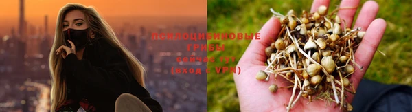 spice Майский