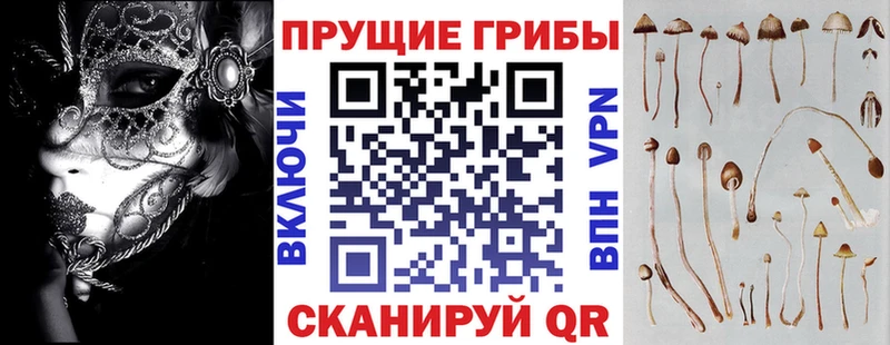 Галлюциногенные грибы ЛСД  Иваново 